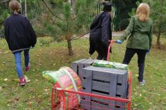 IMG_20181004_132503_resized_20181008_044329391