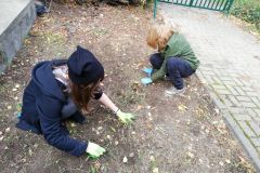 IMG_20181004_134855_resized_20181008_044331435