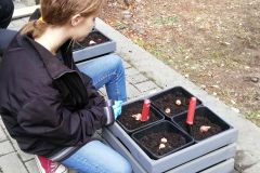 IMG_20181004_135446_resized_20181008_044333541