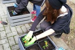 IMG_20181004_135859_resized_20181008_044330641