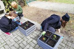 IMG_20181004_135913_resized_20181008_044334549