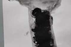 494358460_1876538039848712_2633518794878808593_n