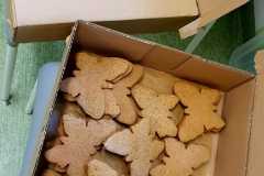 470185435_1081346997118998_640768586634163772_n