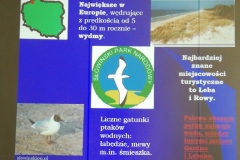 IMG_20200619_110533_resized_20200619_045548883