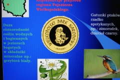 IMG_20200619_111610_resized_20200619_045548205