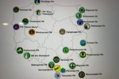 IMG_20200619_113111_resized_20200619_045546142