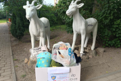 600fbbc6-00cb-434e-80a5-9a87b2482fd9