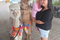 458987757_1013577597229272_704352292651905255_n