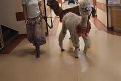 459075445_1013576030562762_4534426366246913712_n