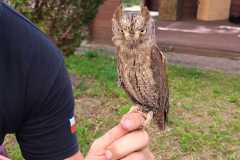 453416082_986812233239142_8091112886448597278_n