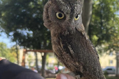 453788640_986990729887959_8373552095236476537_n