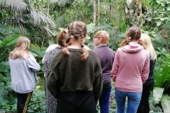 IMG_20191011_102655_resized_20191011_022319758