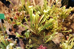 IMG_20191011_103114_resized_20191011_022322724