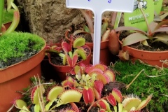 IMG_20191011_103354_resized_20191011_022322252