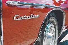 452477337_981778730409159_6941305162590293748_n