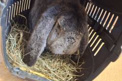 587826116_1354017199851975_7104245642578485672_n