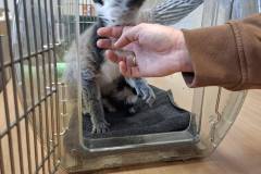 589025078_1354017233185305_2566300653771650727_n