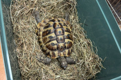 589315122_1354017829851912_2007632535936871996_n