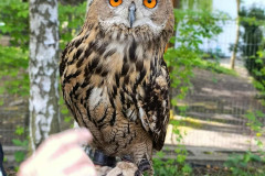 518107202_1237443721509324_5963086447857445703_n