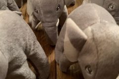 76902769_1329076707296645_1250698148792238080_o