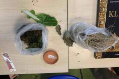 622421972_1402363241684037_5467576650390527617_n