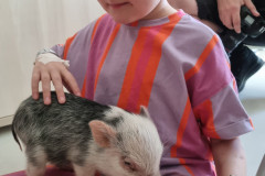 504378452_1265168585403504_3875979950901669978_n.jpg-nggid046187-ngg0dyn-240x160x100-00f0w010c011r110f110r010t010