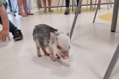 504384193_1265168458736850_8772483875064122393_n.jpg-nggid046180-ngg0dyn-240x160x100-00f0w010c011r110f110r010t010