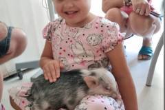 531204866_1265167685403594_4748785000287409736_n.jpg-nggid046186-ngg0dyn-240x160x100-00f0w010c011r110f110r010t010