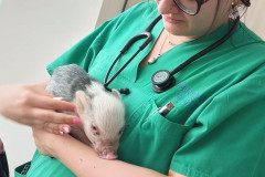 531477589_1265167905403572_5787589544307217636_n.jpg-nggid046181-ngg0dyn-240x160x100-00f0w010c011r110f110r010t010