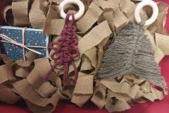 467487024_1066767291910302_6687467882473154210_n