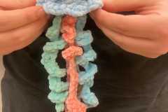 450414623_973702267883472_9208120893213223279_n