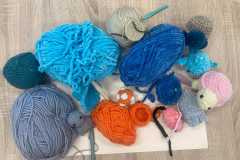 450451067_973703101216722_2535606338305761575_n