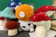 450666545_973702201216812_4752978276765524176_n