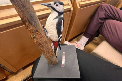 462562826_2027349297733981_3903620419380927903_n