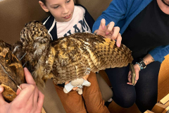 462643633_930988225206939_2261150771967450514_n