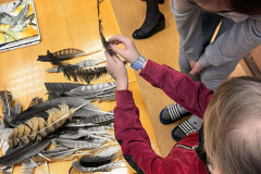 462644614_579098801335724_5645607029171508523_n