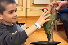 462651851_1319805652348049_8065922187343389814_n