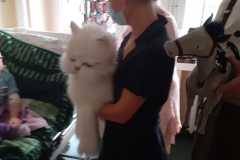 320321111_1087509878592074_8003945520195436624_n