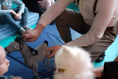 320350220_1230168551265382_2729859475863967858_n