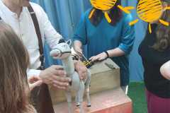 350517674_643479030959952_7818865087994770009_n