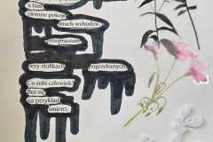 468529107_1075565477697150_849968982788788633_n