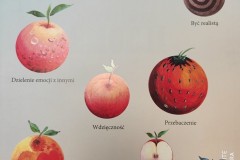 243012768_194088166077720_5172255726943280182_n