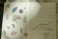 176f9156-f800-4190-859a-91ee89f0ecb6