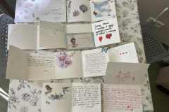 8003c394-88e2-42bd-a551-17011dd3f60e