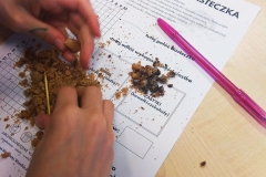 131390622_317431759387324_7278129079871222112_n