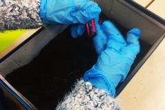 131620344_1079982832423377_3686355928351026645_n