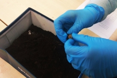 131890941_3541406742642446_763049824715948276_n