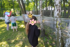 220187519_905964919955591_241876404471144924_n