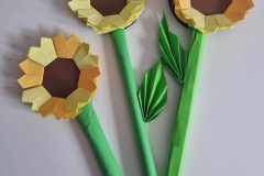 359562065_222202917015465_429800472265621751_n