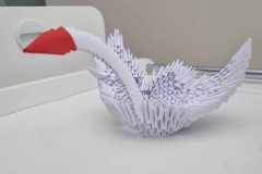 359920502_1231146570913360_3943428399356466953_n